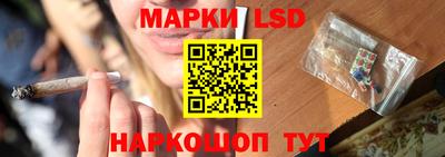 spice Моздок
