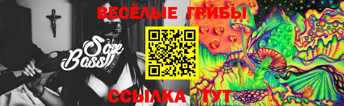 Псилоцибиновые грибы Psilocybine cubensis Урай