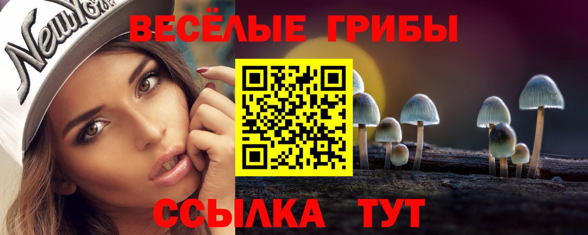 Псилоцибиновые грибы мухоморы  Вход с VPN  где купить   Урай 